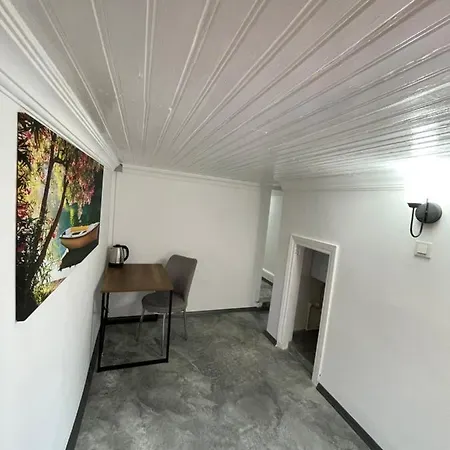 Homestay Mike Mansion Old City *